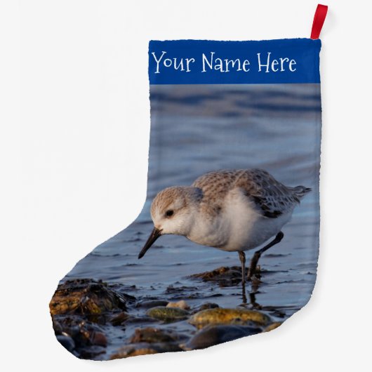 Cute Sanderling Sandpiper Strolling Wintry Shores Grote Kerstsok (Achterkant)