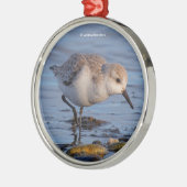 Cute Sanderling Sandpiper Strolls a Winter Beach Metalen Ornament (Links)