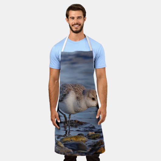 Cute Sanderling Sandpiper Strolls Wintry Beach Schort (Gedragen)