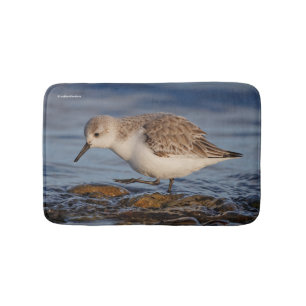 Cute Sanderling Sandpiper Walking Winter Beach Badmat
