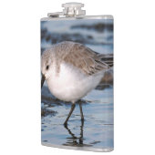 Cute Sanderling Sandpiper Wanders Winter Shores Heupfles (Links)