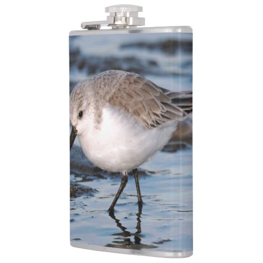 Cute Sanderling Sandpiper Wanders Winter Shores Heupfles (Links)