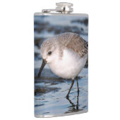 Cute Sanderling Sandpiper Wanders Winter Shores Heupfles (Rechts)