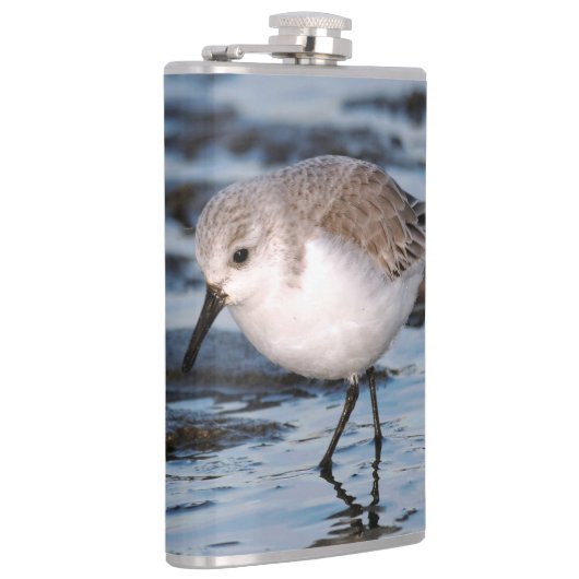 Cute Sanderling Sandpiper Wanders Winter Shores Heupfles (Rechts)