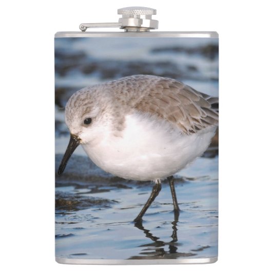 Cute Sanderling Sandpiper Wanders Winter Shores Heupfles (Voorkant)