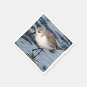 Cute Sanderling Sandpiper Wanders Winter Shores Servet (Hoek)