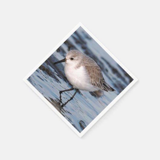 Cute Sanderling Sandpiper Wanders Winter Shores Servet (Hoek)