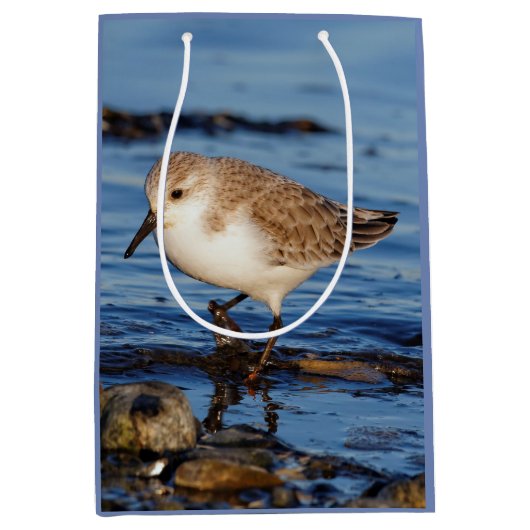 Cute Sanderling Sandpiper Wanders Wintry Shores Medium Cadeauzakje (Voorkant)
