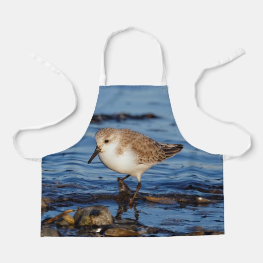 Cute Sanderling Sandpiper Wanders Wintry Shores Schort (Voorkant)