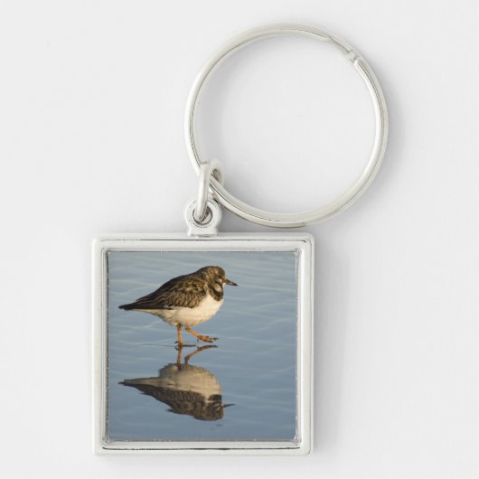 Cute Sandpiper Bird Sleutelhanger (Voorkant)
