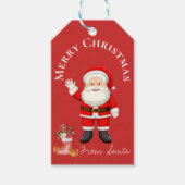 Cute Santa Claus Red Berries Red Merry kerst Cadeaulabel (Voorkant)