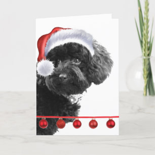 Cute Santa Dog l Holiday Custom Wenskaart Feestdagen Kaart