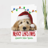 Cute Santa Goldendoodle Christmas Card Feestdagen Kaart (Voorkant)