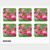Cute scarlet tulpen in de tuin vierkante sticker (Vel)