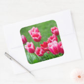 Cute scarlet tulpen in de tuin vierkante sticker (Envelop)