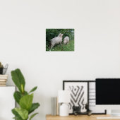 Cute Schaap Eet Bladeren Poster (Thuiskantoor)