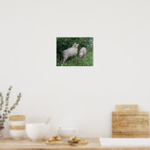 Cute Schaap Eet Bladeren Poster (Keuken)