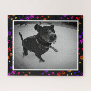 Cute Schattig Happy Dog Black Lab Shepherd Snow Legpuzzel