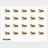 Cute Schattig House Kitty Cat Nap Ronde Sticker (Vel)