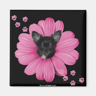 Cute Schattig Sly Heaven Chihuahua Magneet
