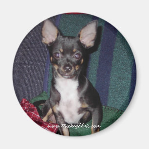 Cute & Schattige MickeyElvis Magneet