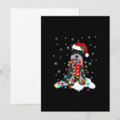 Cute Schnauzer Christmas Lights With Santa Hat Dog Kaart (Voorkant / Achterkant)