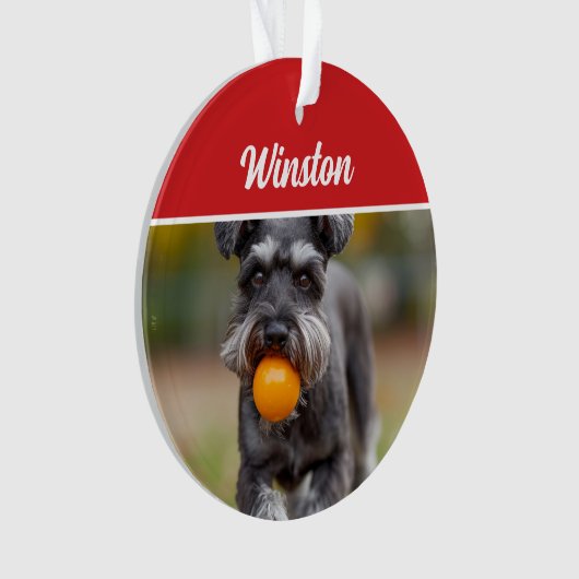 Cute Schnauzer Dog Holiday Christmas Photo Ornament (voorkant)