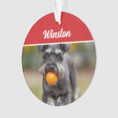 Cute Schnauzer Dog Holiday Christmas Photo Ornament (voorkant)
