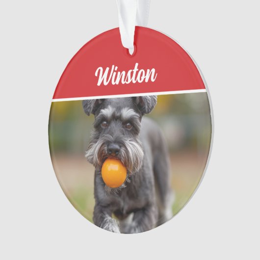 Cute Schnauzer Dog Holiday Christmas Photo Ornament (voorkant)