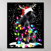 Cute Schnauzer With Christmas Lights Poster (Voorkant)