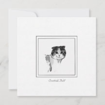 Cute Scottish Fold Cat Charcoal Drawing Note Card