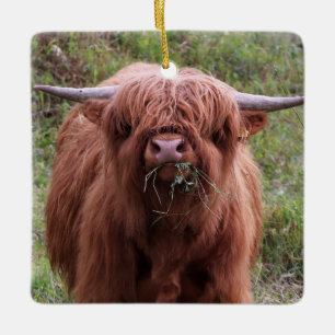 Cute Scottish Highland Koe Keramisch Ornament