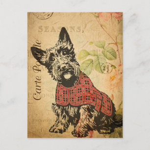  Cute Scottish Terrier Dog Floral Briefkaart
