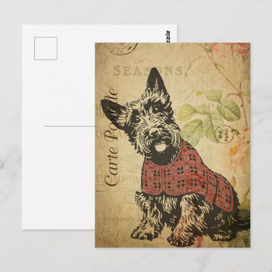  Cute Scottish Terrier Dog Floral Briefkaart (Voorkant / Achterkant)