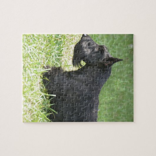 Cute Scottish Terrier Legpuzzel (Horizontaal)