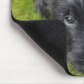 Cute Scottish Terrier Puppy Muismat (Hoek)
