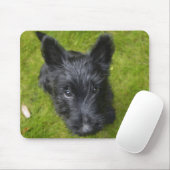Cute Scottish Terrier Puppy Muismat (Met muis)