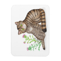 Cute Scottish Wildcat and kitten magnet