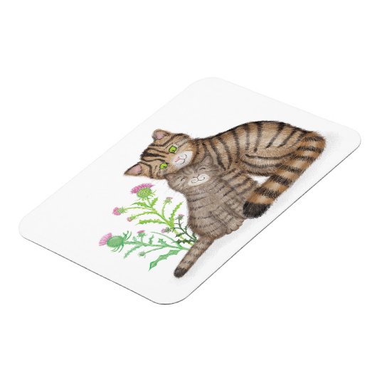 Cute Scottish Wildcat and kitten magnet Magneet (Linkerzijde)