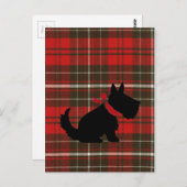 Cute Scotty Dog & Red Tartan Briefkaart (Voorkant / Achterkant)