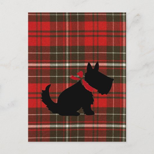 Cute Scotty Dog & Red Tartan Briefkaart (Voorkant)