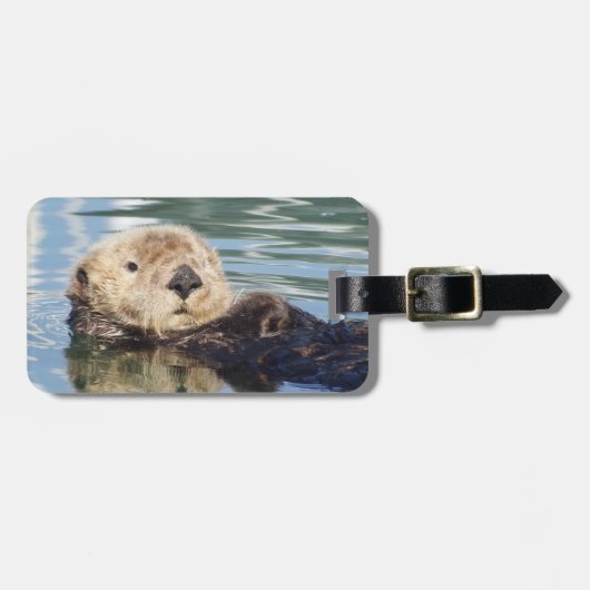 Cute sea otter bagagelabel (Voorkant horizontaal)