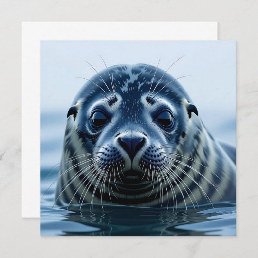 Cute Seal Close up (Voorkant / Achterkant)