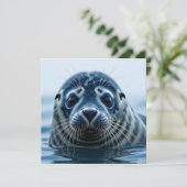Cute Seal Close up (Staand voorkant)