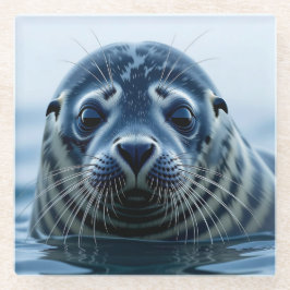 Cute Seal Close up Glazen Onderzetter