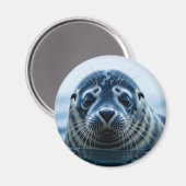Cute Seal Close up Magneet (Voorkant / Achterkant)