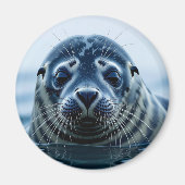 Cute Seal Close up Magneet (Voorkant)