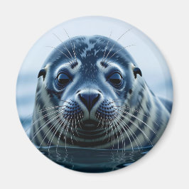 Cute Seal Close up Magneet