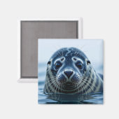 Cute Seal Close up Magneet (Voorkant / Achterkant)
