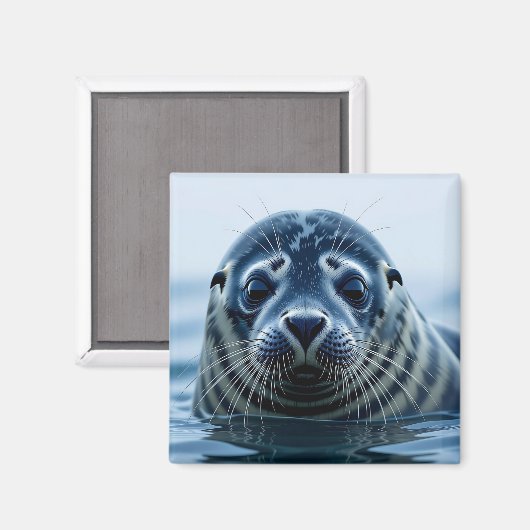 Cute Seal Close up Magneet (Voorkant / Achterkant)